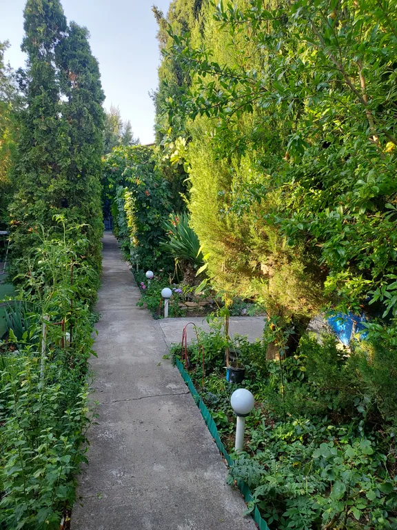 Квартира Квартира Уютная, очень зеленая дача у моря — Севастополь