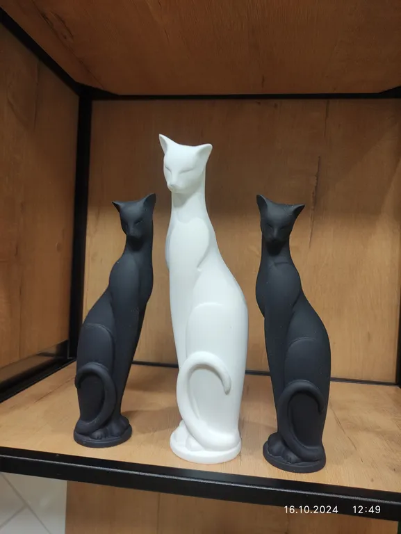 Уютная студия в центре города