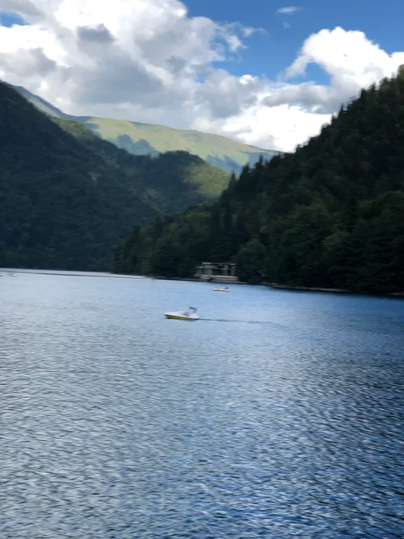 Квартира Уютная квартира с видом в парк — Сириус