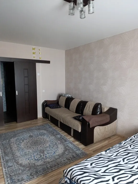 Чижовка Арена, Дельфинарий, Дино-парк, метро Автозаводская 10мин