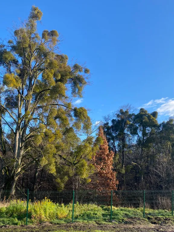 Гостевой Дом "Озерки"