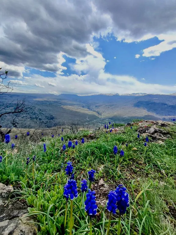 Коттедж Коттедж Шале — Мезмай