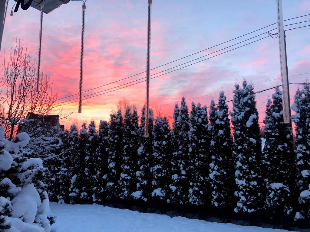 Дом с бассейном в лесу