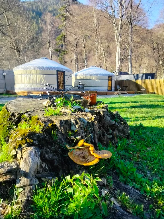 Коттедж Коттедж Юрта в горах — Архыз