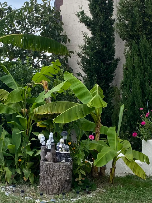 Комната с видом на море