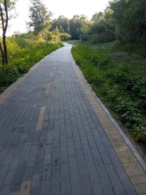 Домик Серфера