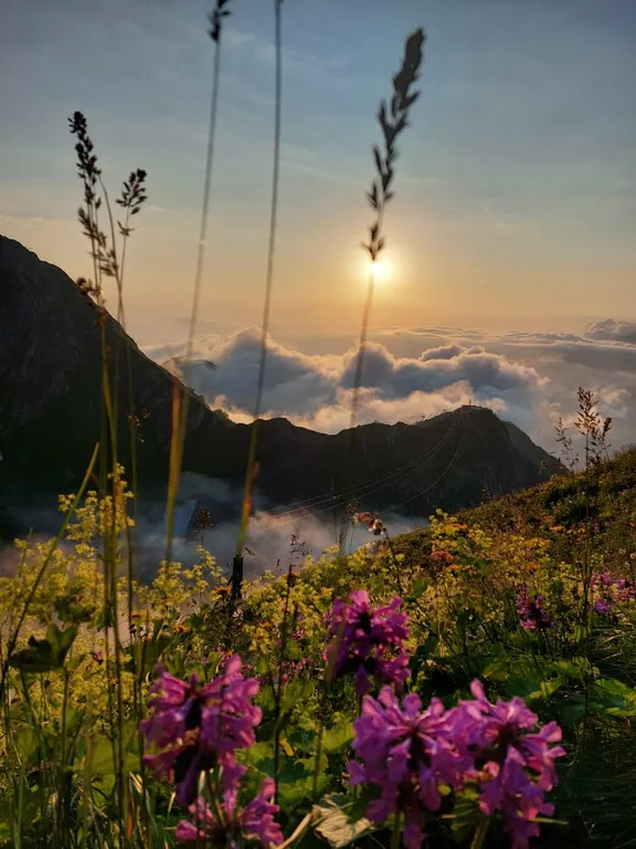 Дизайнерские апартаменты с видом на горы