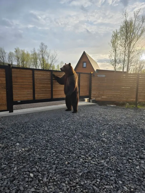 Дом 60m2 — чан, кухня, Wi-Fi