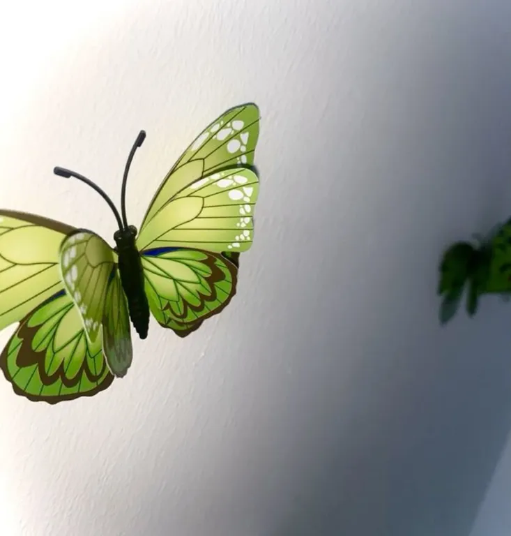 Квартира Отдельная квартира студия в новом жилом комплексе — Санкт-Петербург