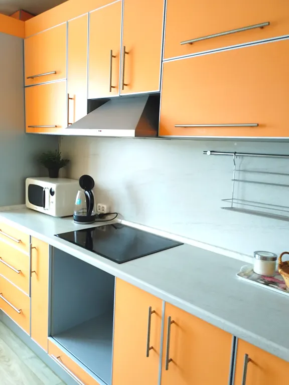 Уютная 1- комн. квартира рядом с метро Парнас