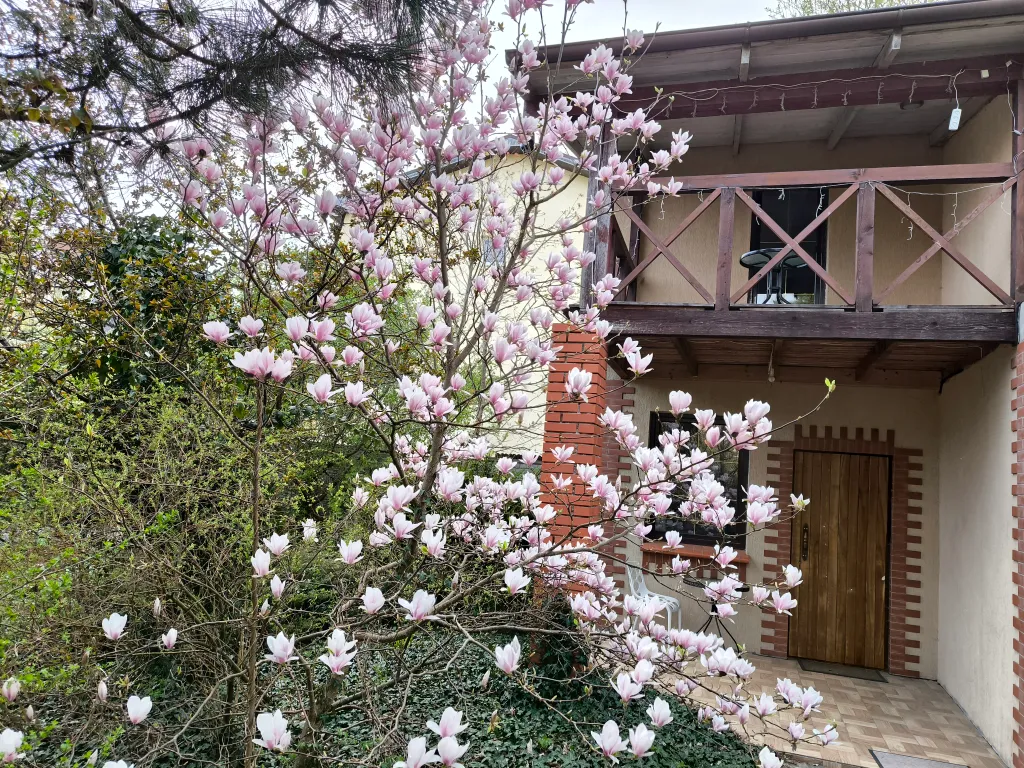 Деревенский дом у моря