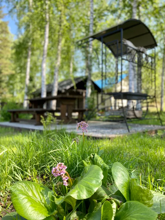 Дом-шале с печью-камином