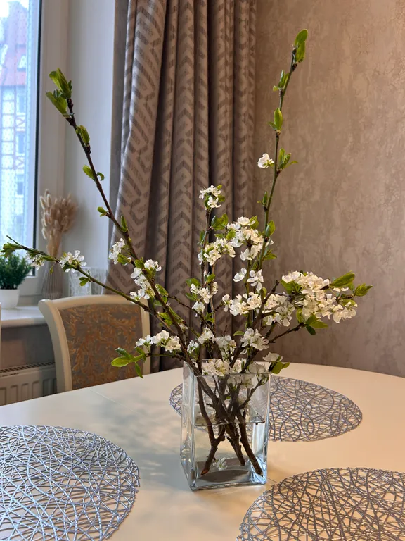 Уютные и красивые апартаменты в центре города