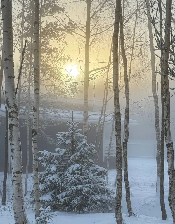 Коттедж на горнолыжном курорте