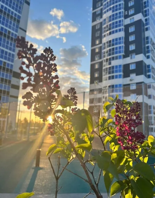 Квартира в 15 минутах от центра Казани, аэропорта, М12, Казань Экспо