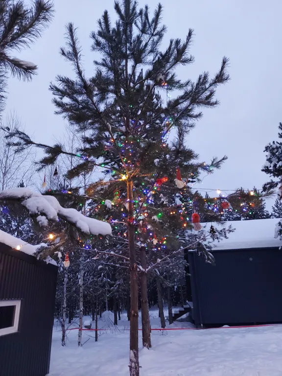 Загородный дом в лесу