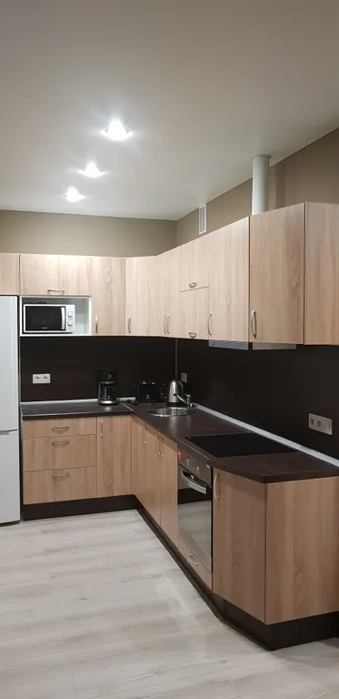 Квартира Квартира Apartment on Chapaeva Ecostyle XL — Петрозаводск