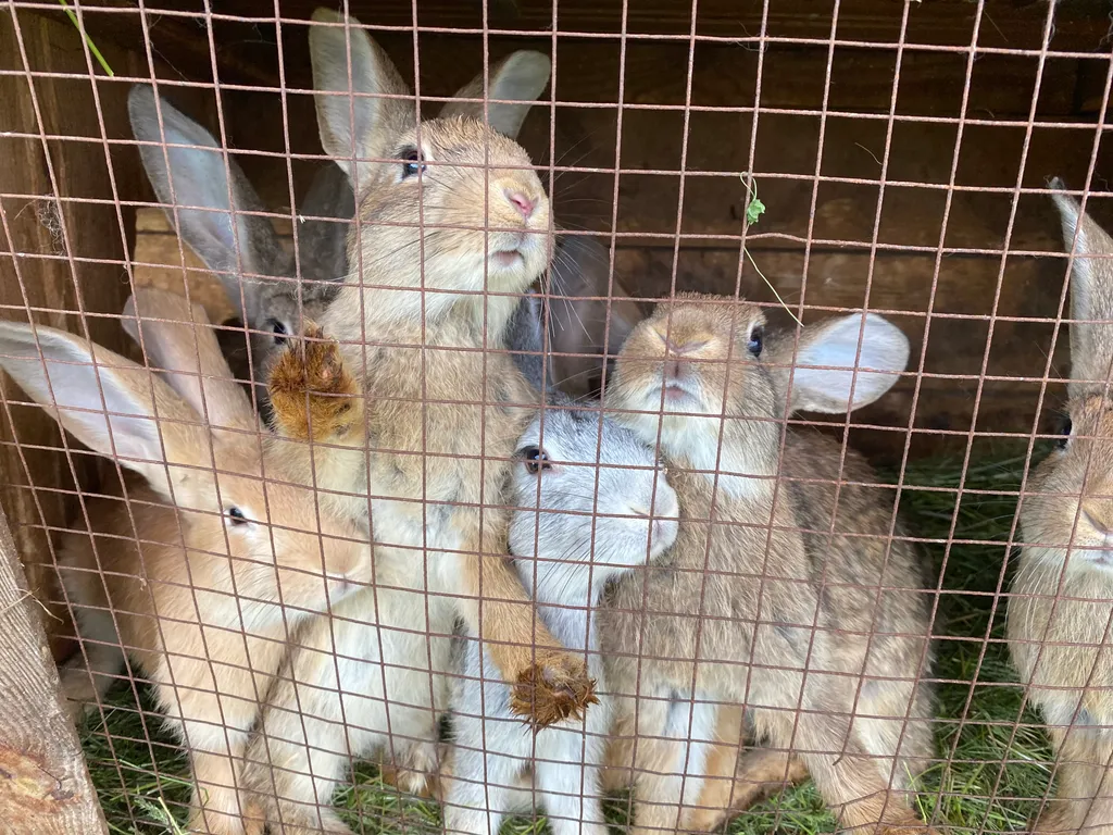 5-комнатный Дом