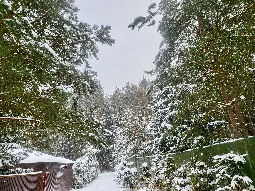 Уютный дом в лесу на 3 семьи