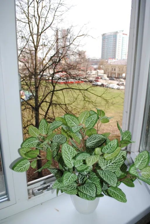 Квартира в самом центре