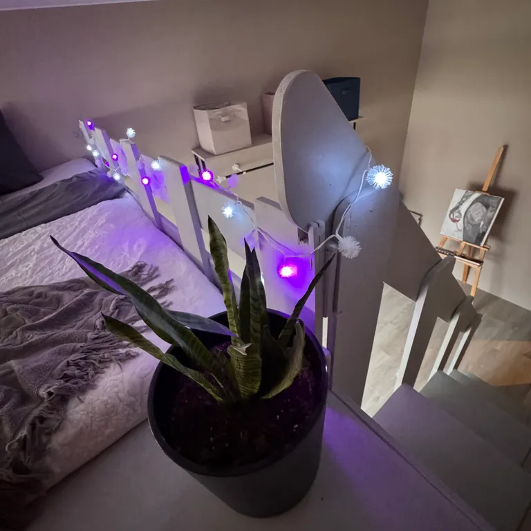 Квартира Фантастическая квартира с видом на Финский залив и лебедями из окна — Санкт-Петербург