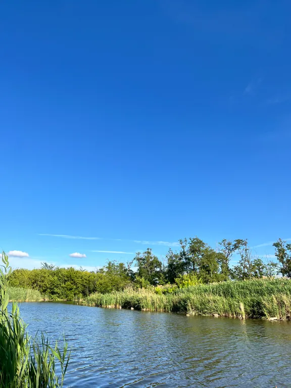 Люкс 4-х местный с кондиционером и удобствами