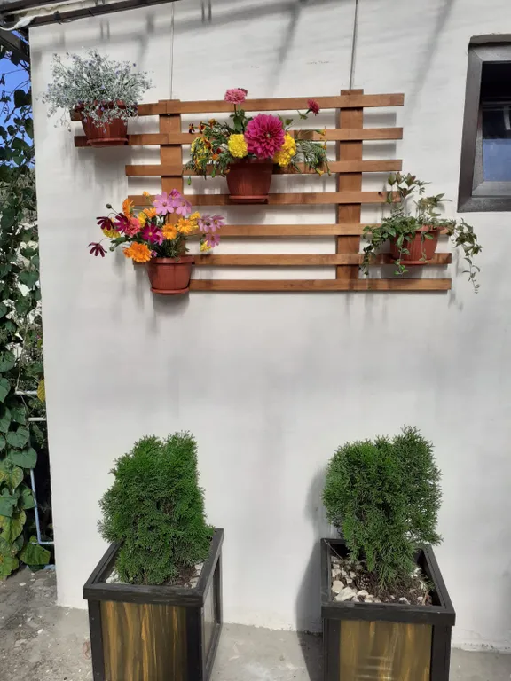 Апартаменты с видом на горы