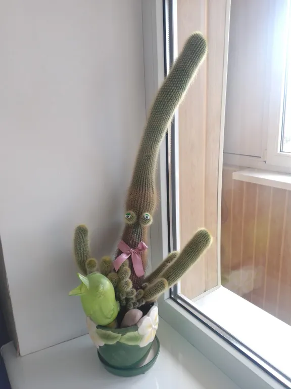 Квартира в историческом центр города