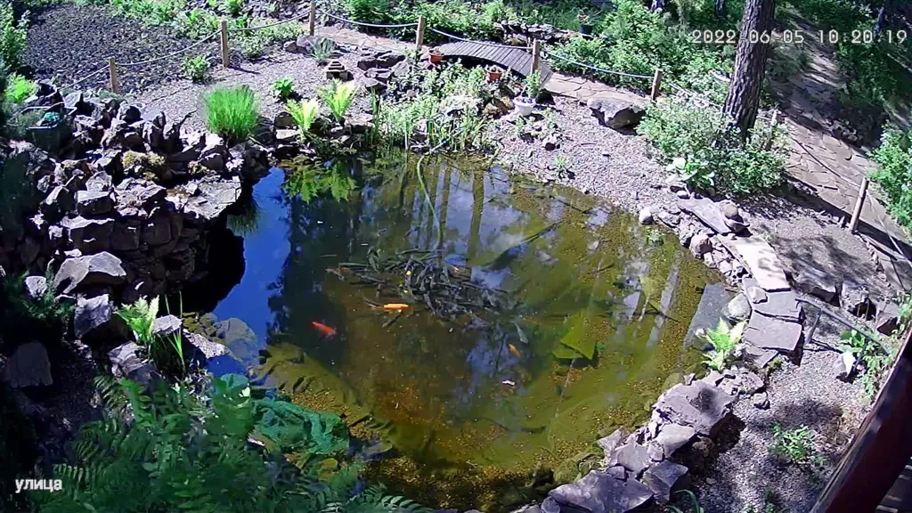 Дом с прудом в лесу, баня банный чан