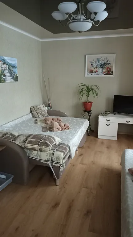 Уютная студия в спальном районе