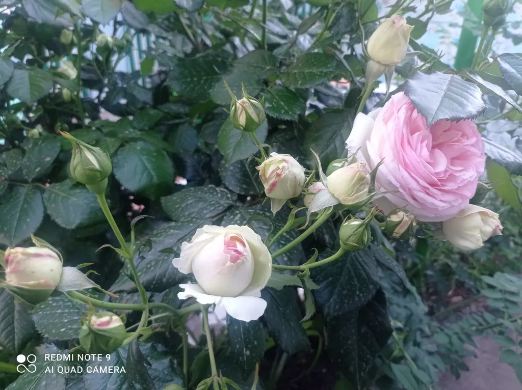 Номер в частном доме Полулюкс