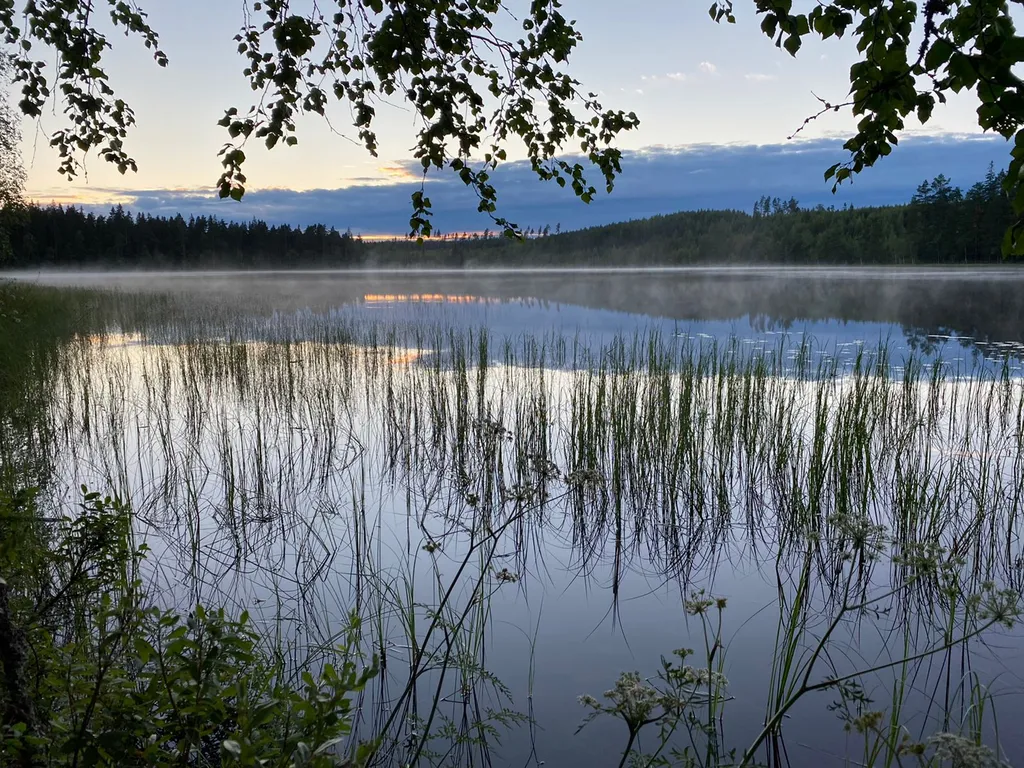Дом в лесу рядом с озером