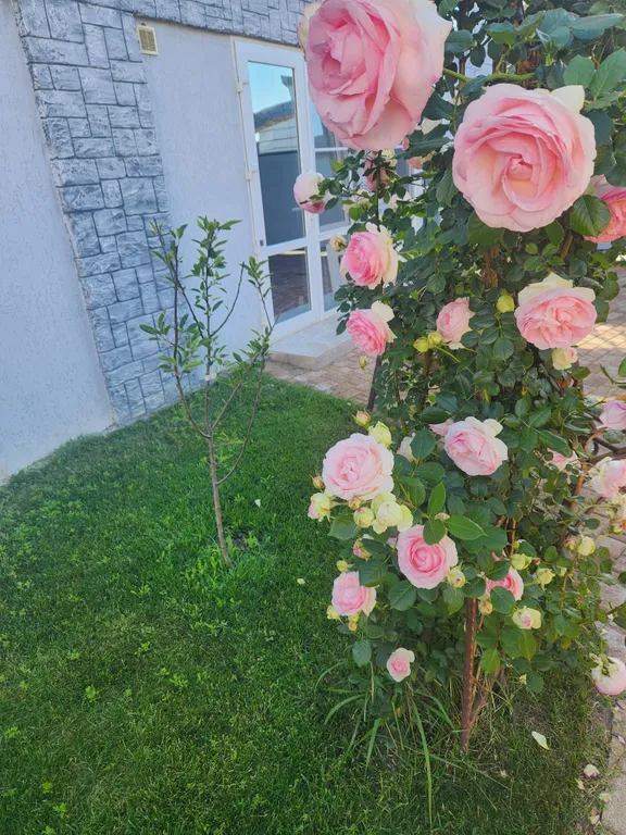 Апартаменты-студия с парковкой