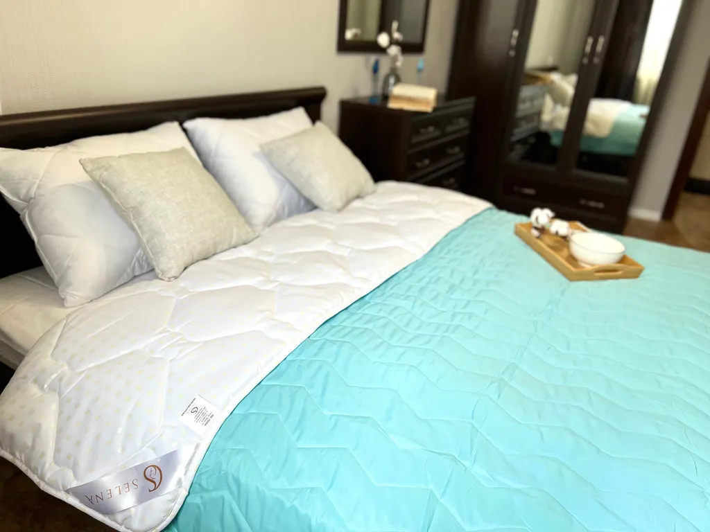 Просторная квартира в центре