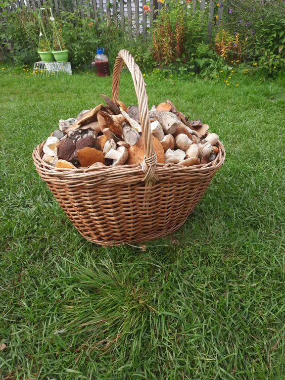 Домик для отдыха в Карелии