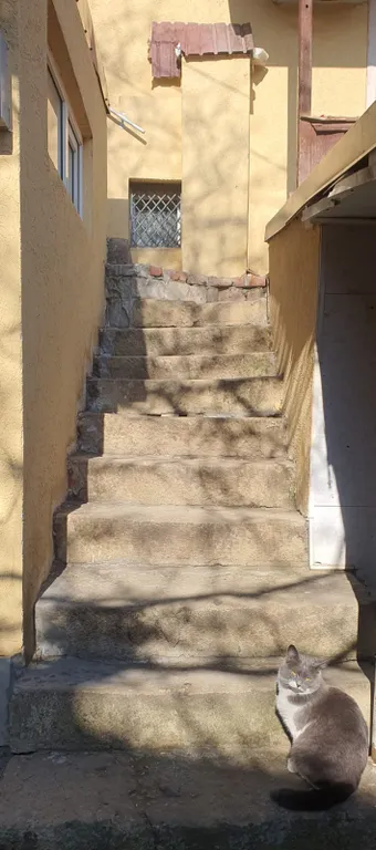 Уютная квартира около курортного парка в историческом центре города