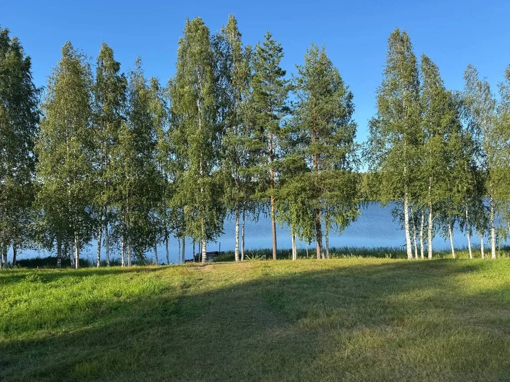 Дом из сруба у воды