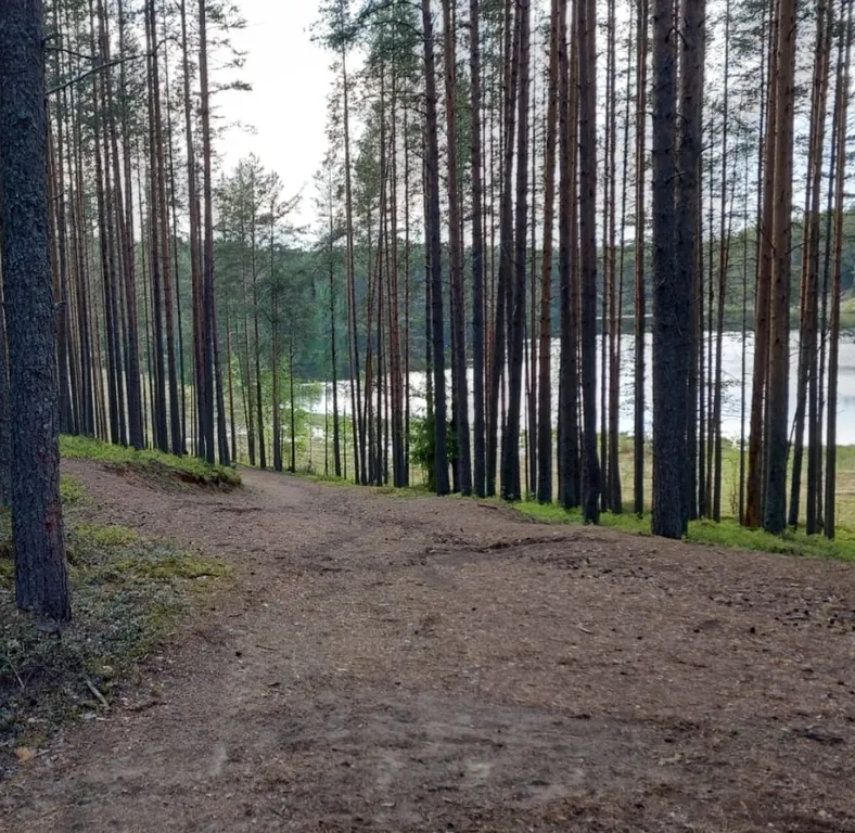 Дом солнце карелии на 5 человек с сауной