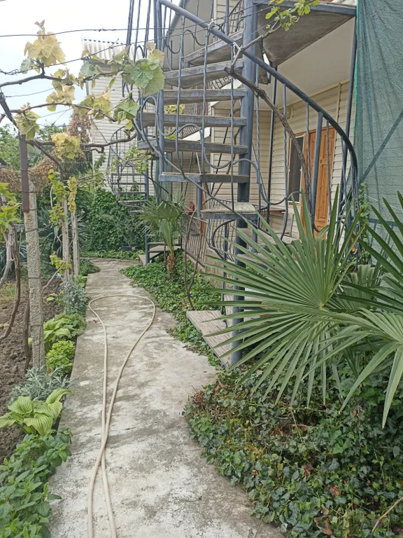 Квартира Уютные номера в зелёном оазисе — Морское