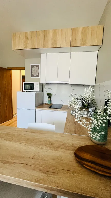 Квартира Квартира Уютная студия в Песочном — Песочный