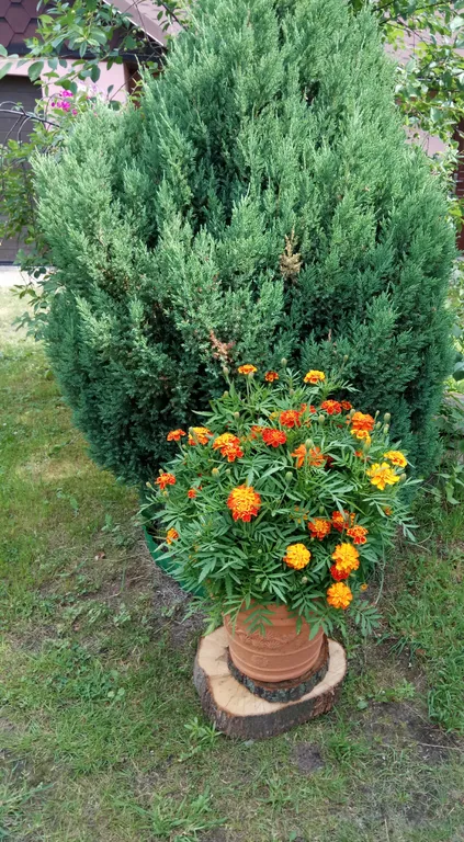 В 10 минутах от Балтийского моря