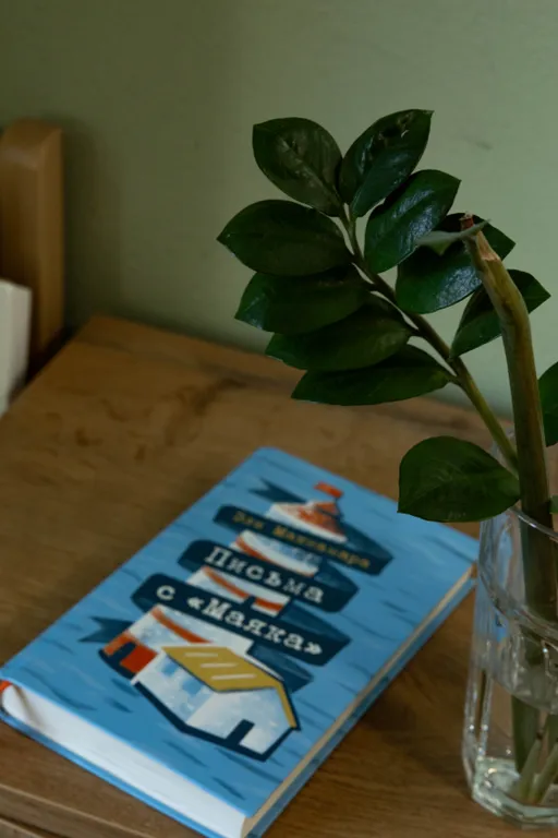 Квартира 1-комнатная Квартира — Пионерский