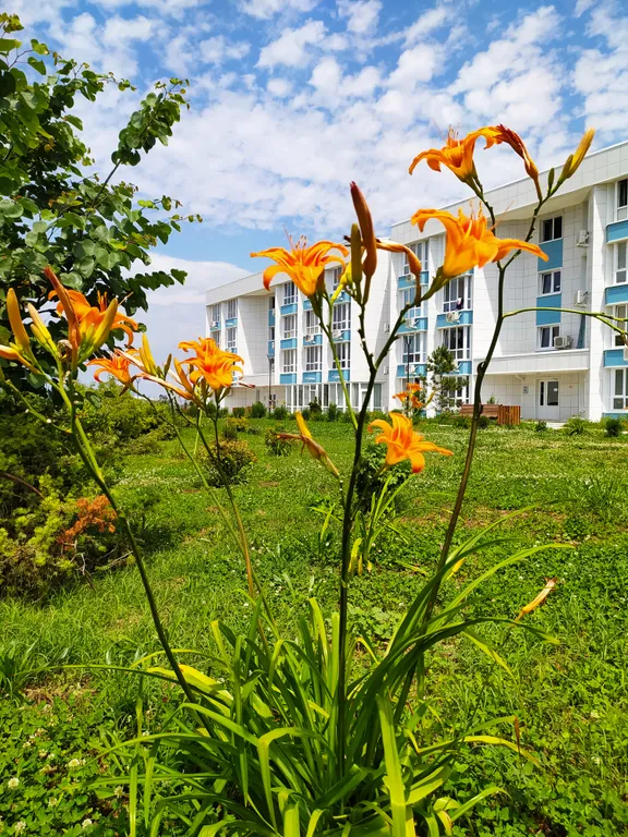 Квартира Квартира-студия возле моря с бассейном в Адмиральской Лагуне — Севастополь