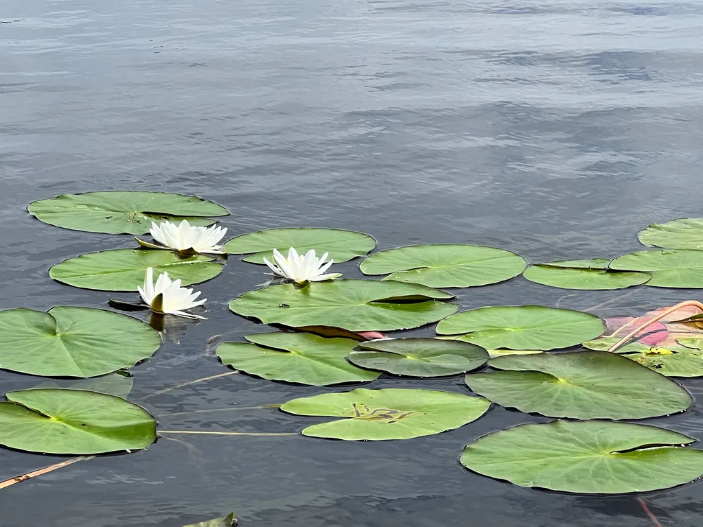 A-Frame с скандинавскими нотками