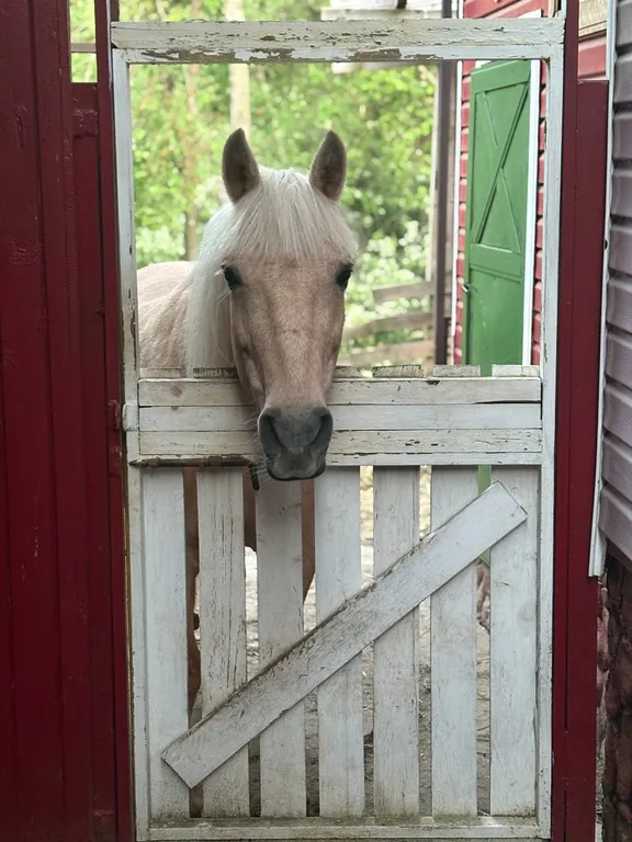 Уютный жилой зимний дом в сказочно живописном месте