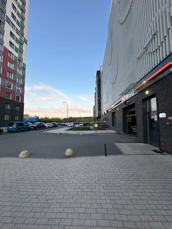Cтудия с видом на Орловский заказник