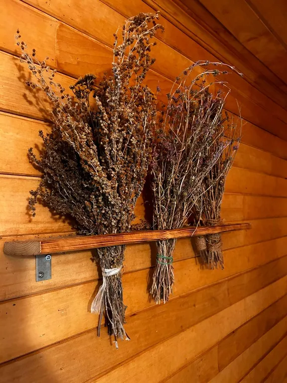 Дом с купелью и сауной, костровой зоной, мангалом и качелями