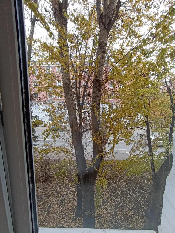 Уютная студия по выгодной цене в Центре города, рядом с метро