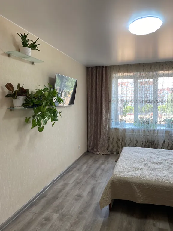 Апартаменты добрый день