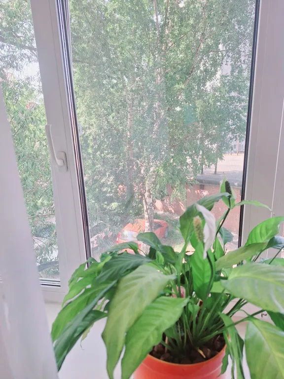 Добро пожаловать в квартиру в центре